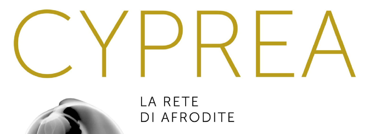 “Cyprea: la rete di Afrodite”, un ponte culturale tra Italia e Cipro al Museo Archeologico Nazionale di Reggio Calabria